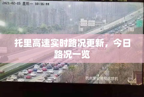 百鳥爭(zhēng)鳴 第3頁