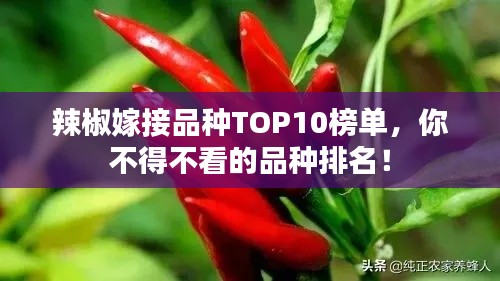辣椒嫁接品種TOP10榜單，你不得不看的品種排名！