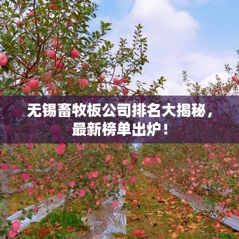 無錫畜牧板公司排名大揭秘，最新榜單出爐！