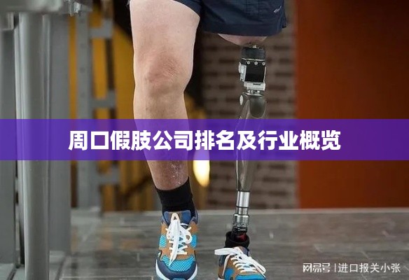 周口假肢公司排名及行業(yè)概覽