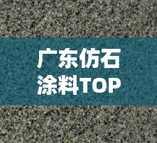 廣東仿石涂料TOP10排行榜，品質(zhì)之選一網(wǎng)打盡！