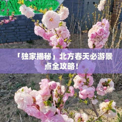 「獨(dú)家揭秘」北方春天必游景點(diǎn)全攻略！