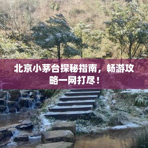 北京小茅臺(tái)探秘指南，暢游攻略一網(wǎng)打盡！