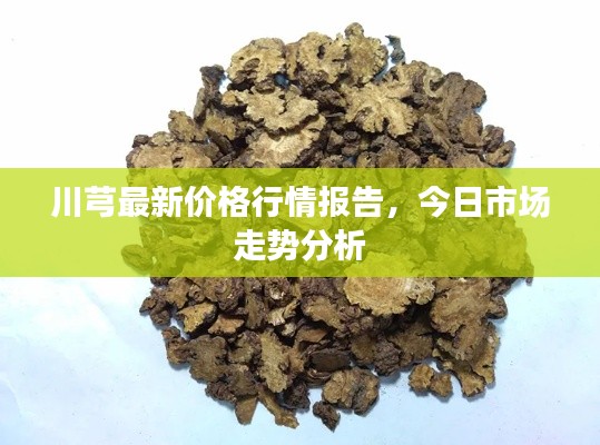 川芎最新價格行情報告，今日市場走勢分析