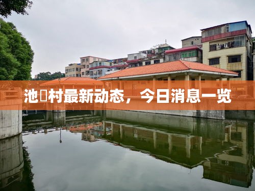 池滘村最新動態(tài)，今日消息一覽