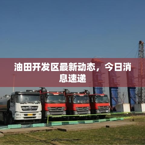 油田開發(fā)區(qū)最新動(dòng)態(tài)，今日消息速遞
