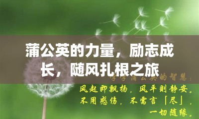 雅量高致 第3頁(yè)