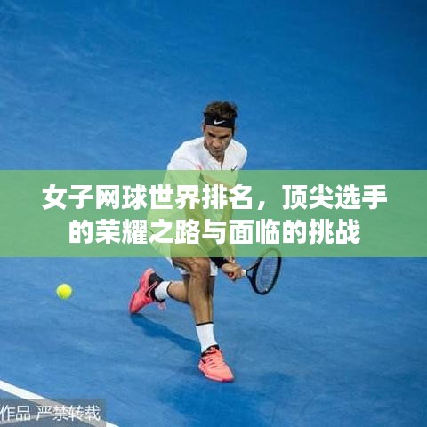 飛燕化龍 第3頁