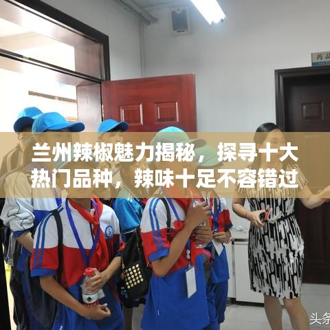 蘭州辣椒魅力揭秘，探尋十大熱門品種，辣味十足不容錯過