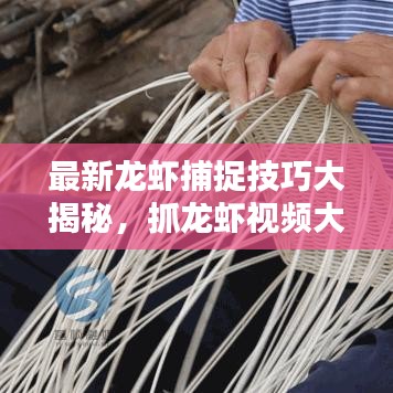 最新龍蝦捕捉技巧大揭秘，抓龍蝦視頻大全，體驗樂趣無限！