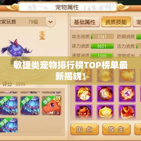 敏捷類寵物排行榜TOP榜單最新揭曉！