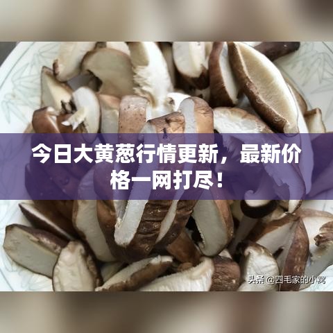 今日大黃蔥行情更新，最新價(jià)格一網(wǎng)打盡！