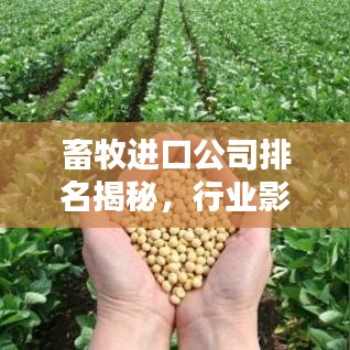 畜牧進(jìn)口公司排名揭秘，行業(yè)影響力深度解析
