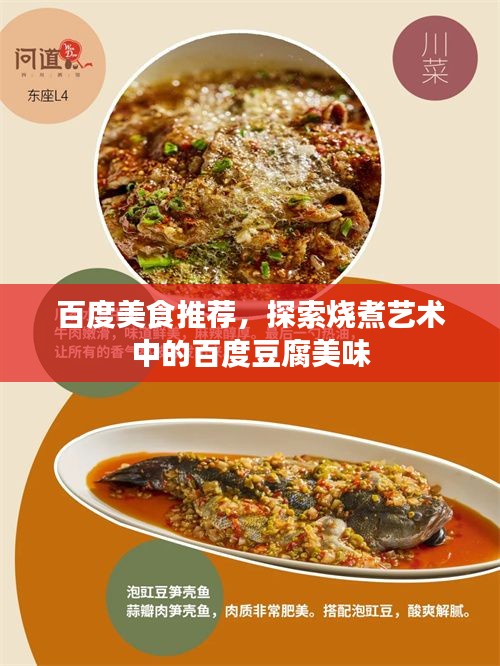 百度美食推薦，探索燒煮藝術(shù)中的百度豆腐美味