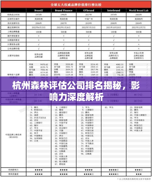 杭州森林評估公司排名揭秘，影響力深度解析