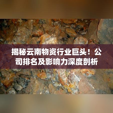 揭秘云南物資行業(yè)巨頭！公司排名及影響力深度剖析