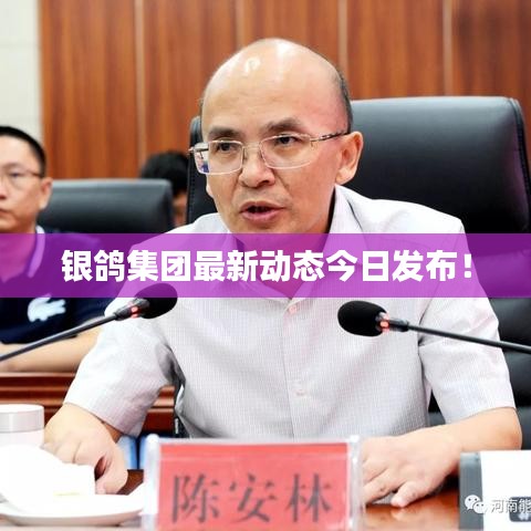 銀鴿集團(tuán)最新動態(tài)今日發(fā)布！