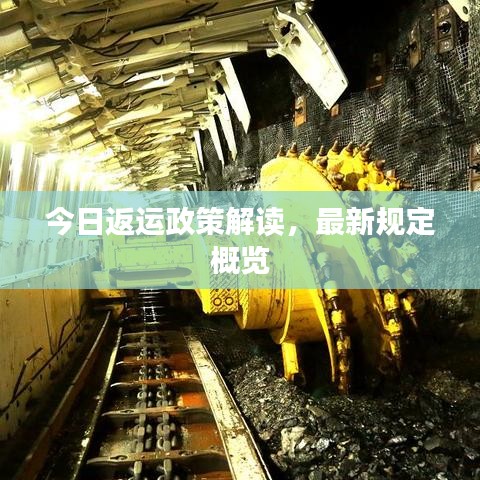 今日返運政策解讀，最新規(guī)定概覽