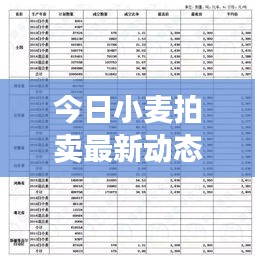 今日小麥拍賣最新動(dòng)態(tài)，市場走勢及前景展望