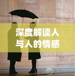 深度解讀人與人的情感連接，心心相照的魅力