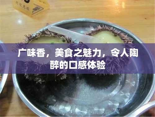 廣味香，美食之魅力，令人陶醉的口感體驗(yàn)