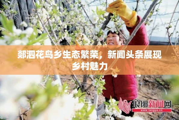 郯泗花鳥鄉(xiāng)生態(tài)繁榮，新聞頭條展現(xiàn)鄉(xiāng)村魅力