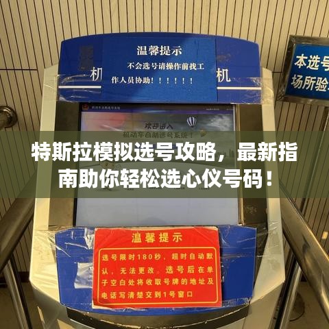 特斯拉模擬選號攻略，最新指南助你輕松選心儀號碼！