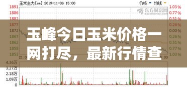 玉峰今日玉米價格一網(wǎng)打盡，最新行情查詢