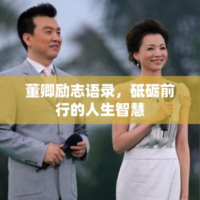 董卿勵(lì)志語錄，砥礪前行的人生智慧