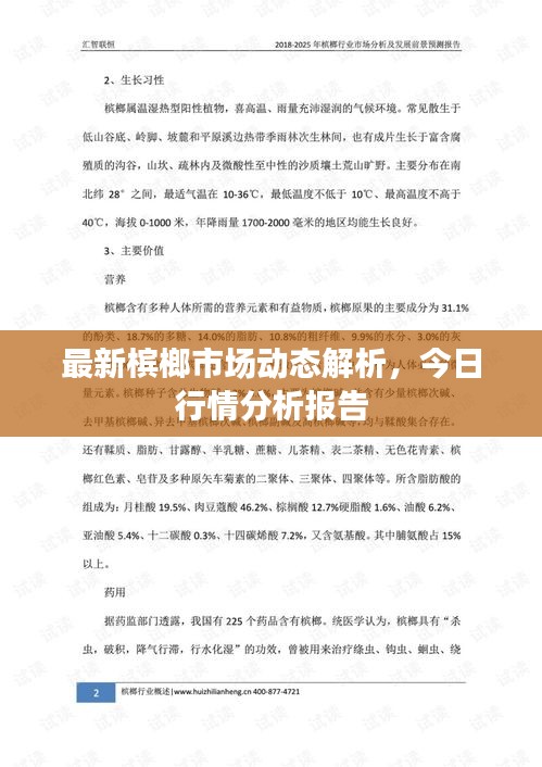 最新檳榔市場動態(tài)解析，今日行情分析報告