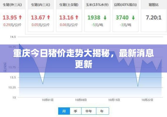 重慶今日豬價(jià)走勢(shì)大揭秘，最新消息更新