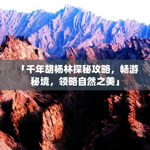 「千年胡楊林探秘攻略，暢游秘境，領(lǐng)略自然之美」