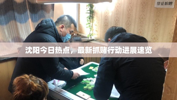 沈陽今日熱點(diǎn)，最新抓賭行動(dòng)進(jìn)展速覽