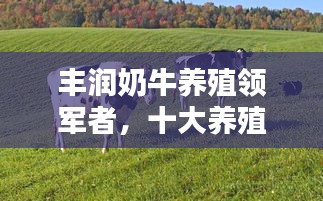 豐潤(rùn)奶牛養(yǎng)殖領(lǐng)軍者，十大養(yǎng)殖企業(yè)榮耀上榜