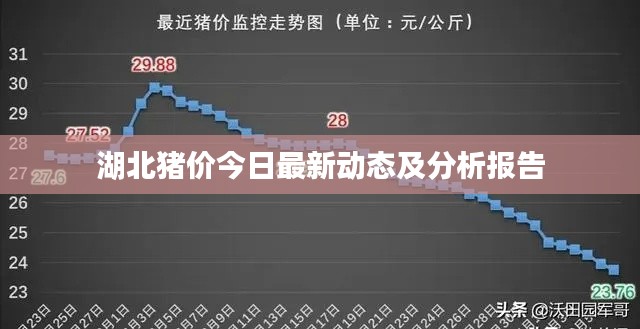 湖北豬價今日最新動態(tài)及分析報(bào)告