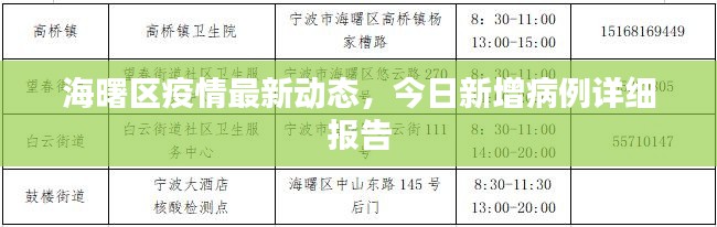 海曙區(qū)疫情最新動態(tài)，今日新增病例詳細(xì)報告