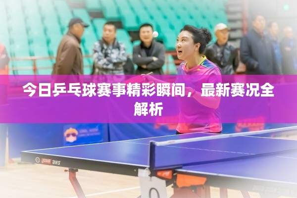 今日乒乓球賽事精彩瞬間，最新賽況全解析