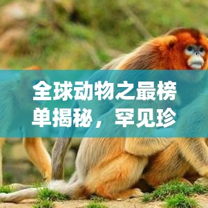 全球動物之最榜單揭秘，罕見珍稀生物震撼排名！