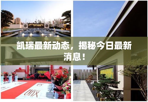 凱瑞最新動態(tài)，揭秘今日最新消息！