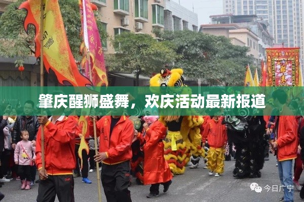 肇慶醒獅盛舞，歡慶活動(dòng)最新報(bào)道