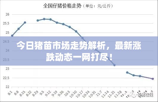 炊粱跨衛(wèi) 第3頁