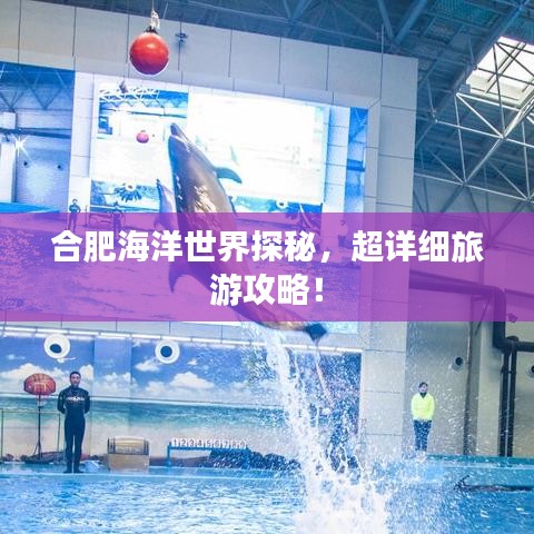 合肥海洋世界探秘，超詳細旅游攻略！