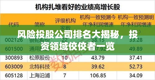 風(fēng)險投股公司排名大揭秘，投資領(lǐng)域佼佼者一覽