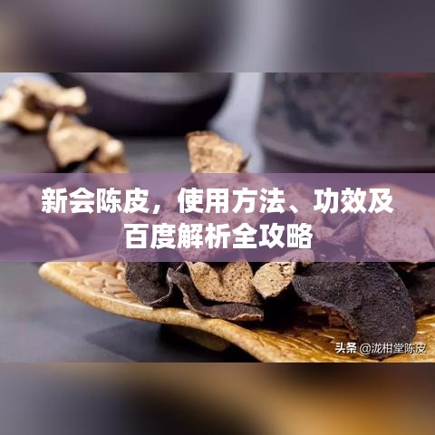 張張屈屈 第3頁