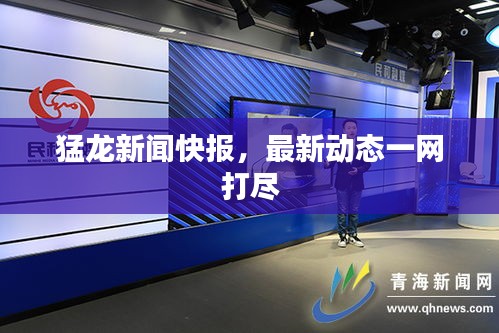 猛龍新聞快報，最新動態(tài)一網打盡