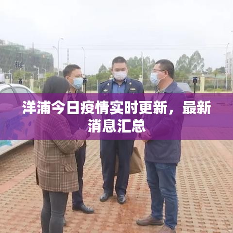 洋浦今日疫情實(shí)時(shí)更新，最新消息匯總