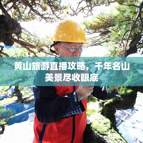 黃山旅游直播攻略，千年名山美景盡收眼底
