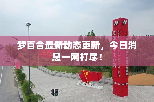 夢(mèng)百合最新動(dòng)態(tài)更新，今日消息一網(wǎng)打盡！