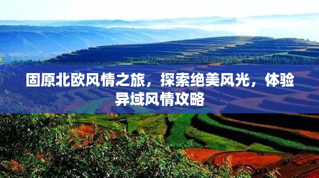 固原北歐風情之旅，探索絕美風光，體驗異域風情攻略