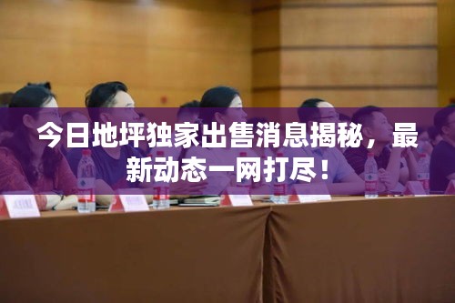 今日地坪獨(dú)家出售消息揭秘，最新動(dòng)態(tài)一網(wǎng)打盡！